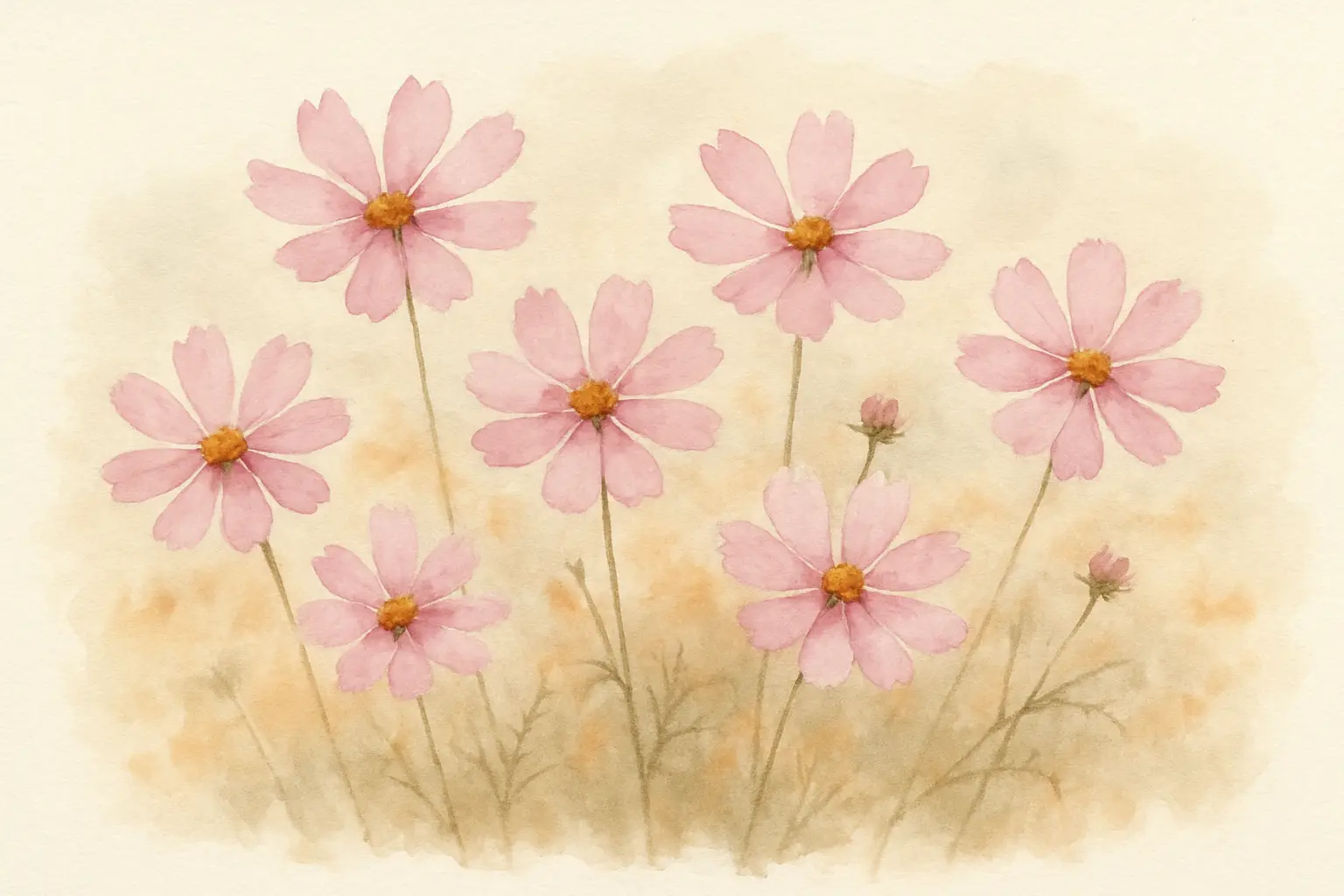 코스모스 수채화 그림